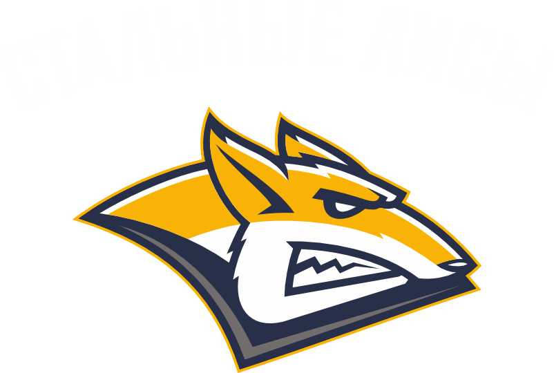 ХК «Стальные Лисы»